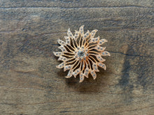 Brooches